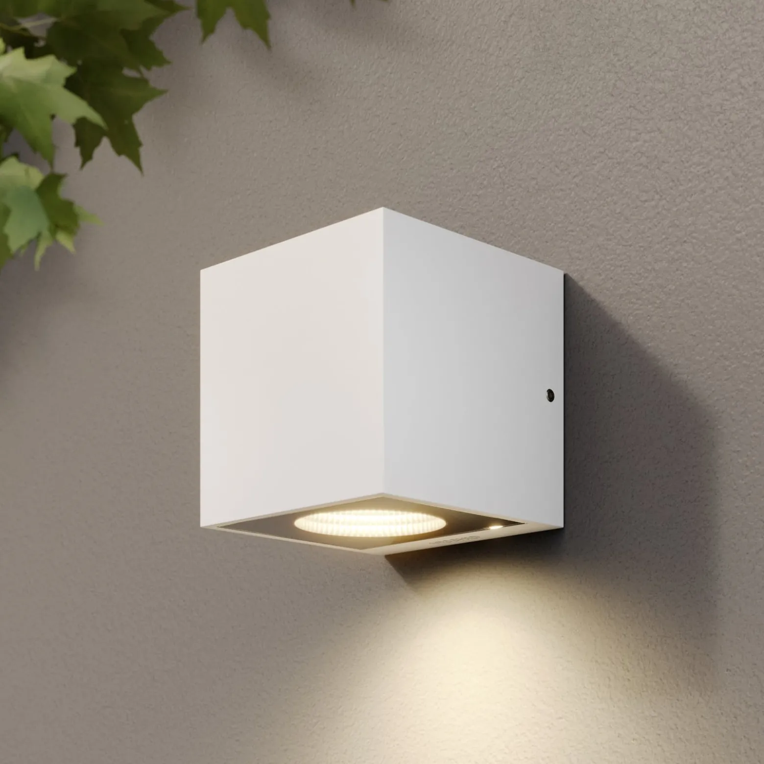 Arcchio LED-ulkoseinälamppu Tassnim, 1-lamppuinen, valkoinen, IP65