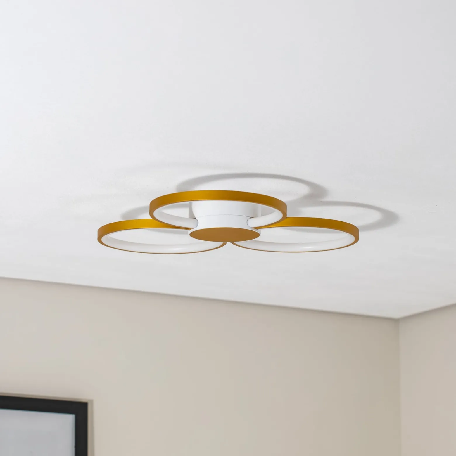 BEGA LED-kattovalaisin 51299.4, samettimessinki, metalli, DALI