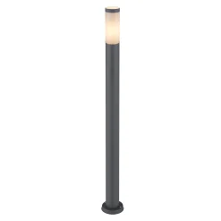 Boston polkuvalo, korkeus 110 cm