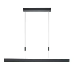 Delta LED-riippuvalaisin, 100 cm, musta