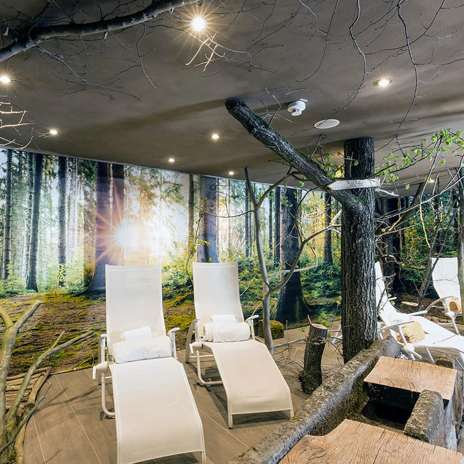 DOTLUX MULTIsun-LED-uppovalaisin, pyöreä, musta