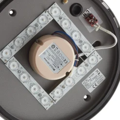 EGLO connect Locana-C LED-ulkoseinävalaisin hopea