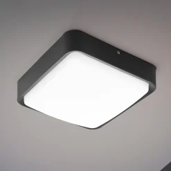 EGLO connect Piove-C -LED-ulkoseinävalaisin