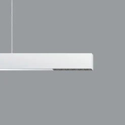 ERCO Compar P DALI up/down ovalwide valk/musta 930