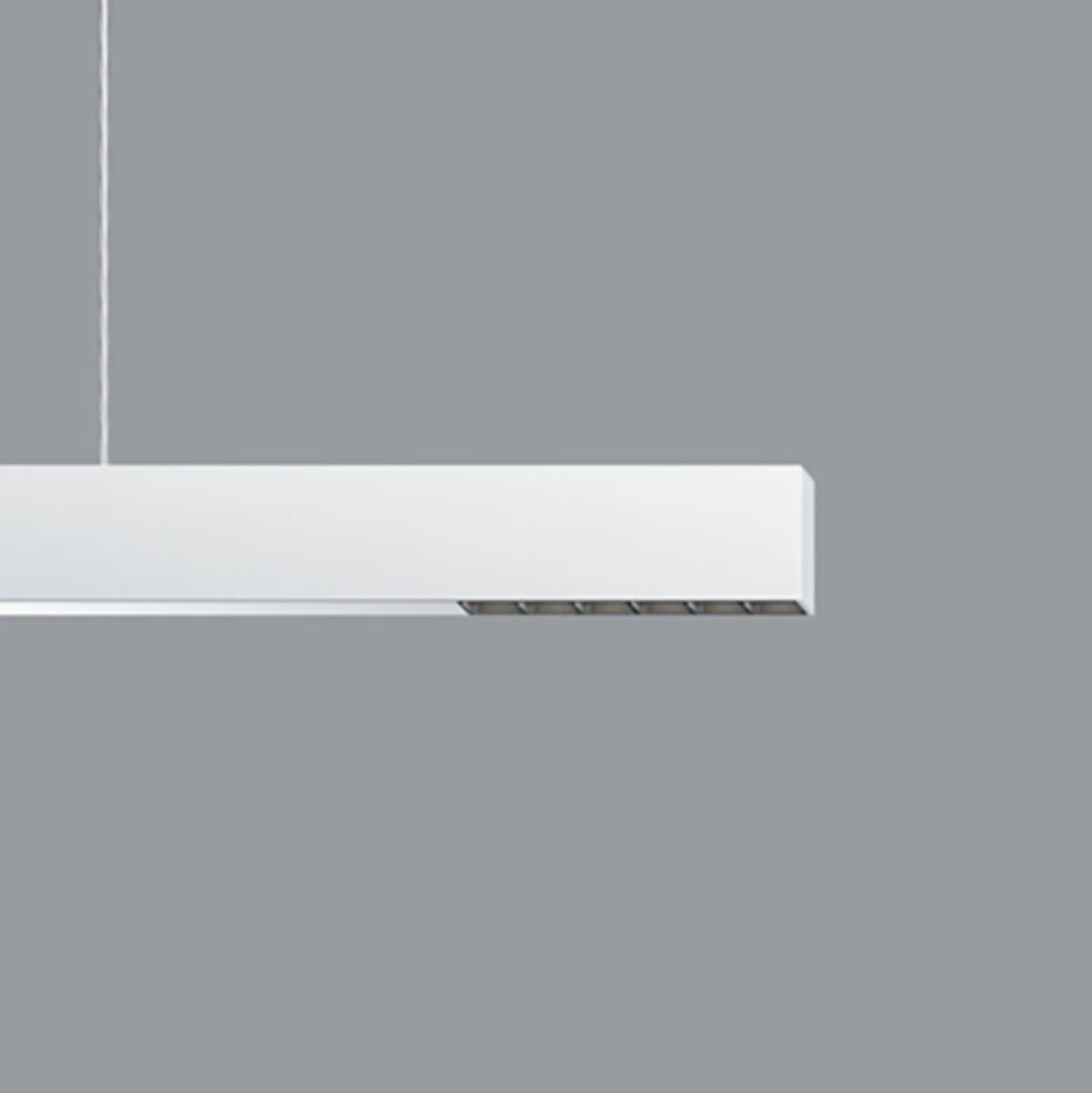 ERCO Compar P DALI up/down ovalwide valk/musta 930