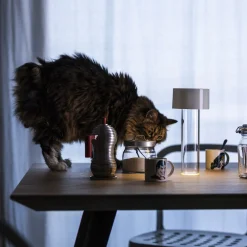 Foscarini LED-akku pöytävalaisin Fleur, valkoinen