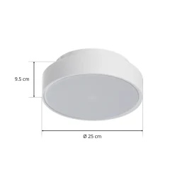 Hatton-LED-kattovalaisin IP65, 25 cm