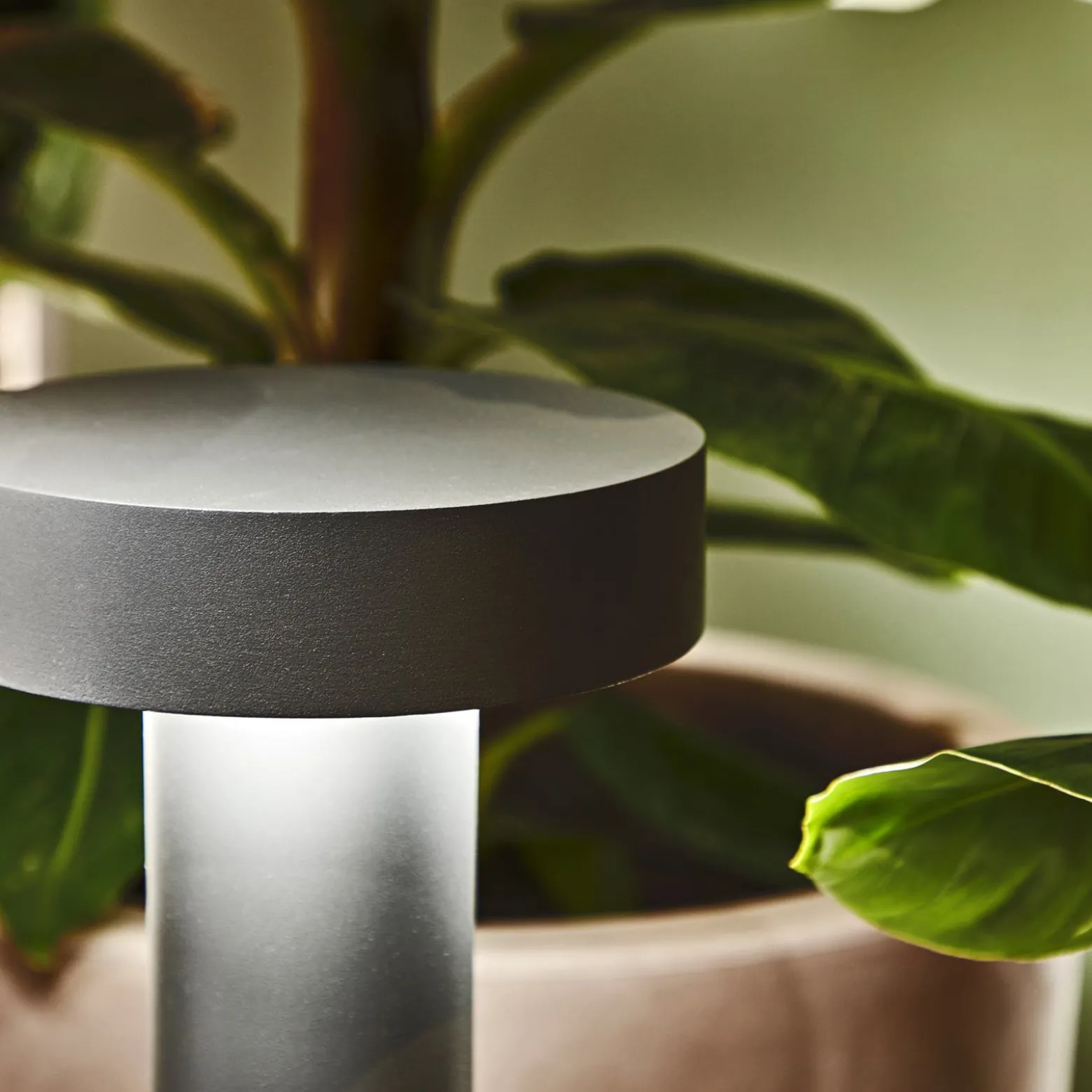 Ideal Lux polkuvalaisin Tesla antrasiitti, alumiini, korkeus 60 cm