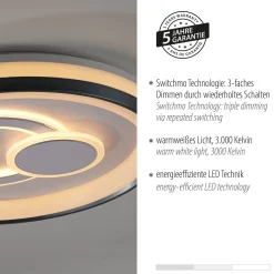 JUST LIGHT. Minelli LED-kattovalaisin, Ø 50 cm, himmennettävä