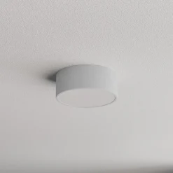 Kattovalaisin Cleo, Ø 20 cm, IP54, harmaa, metalli, E27