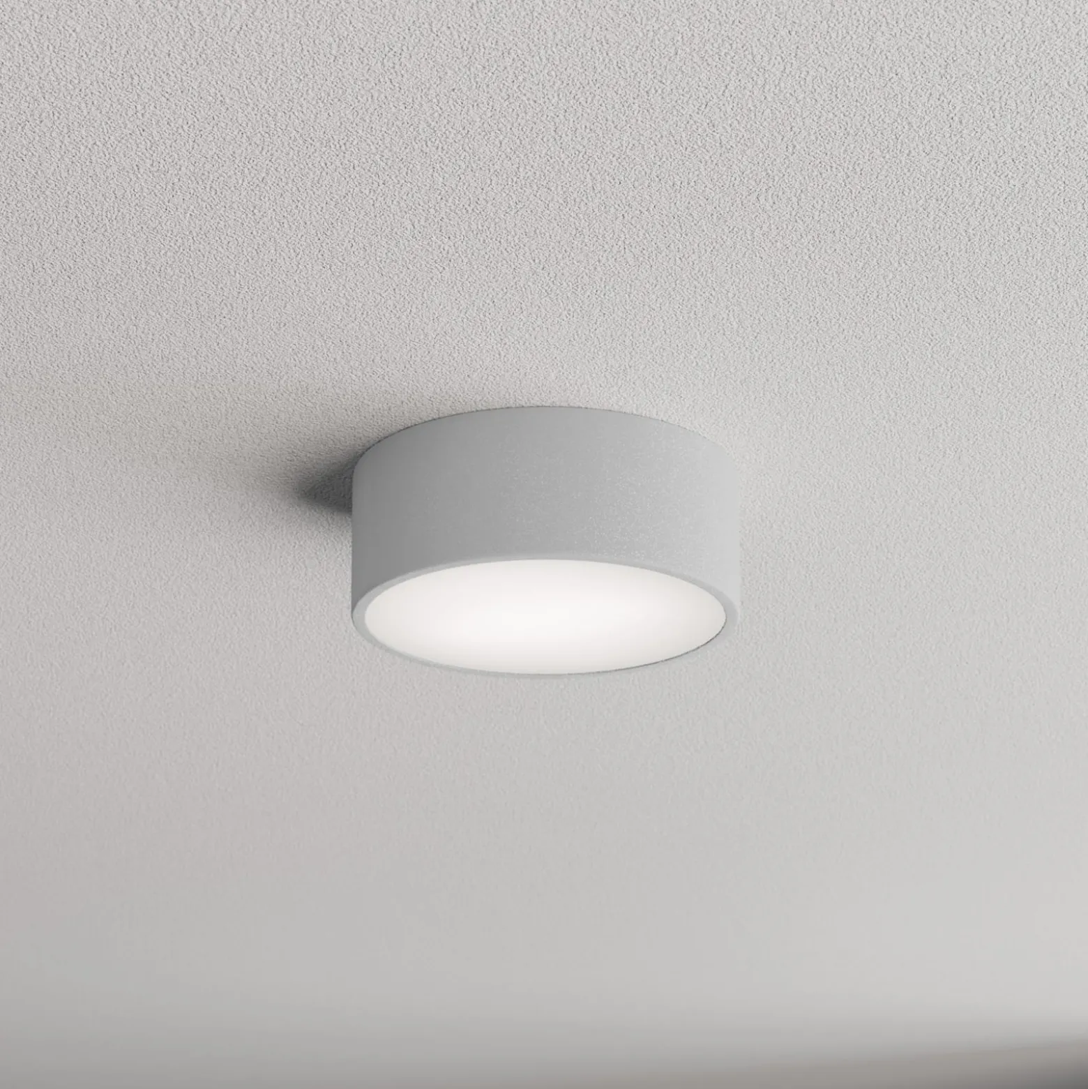 Kattovalaisin Cleo, Ø 20 cm, IP54, harmaa, metalli, E27