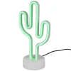 Koristevalaisin Cactus