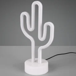 Koristevalaisin Cactus