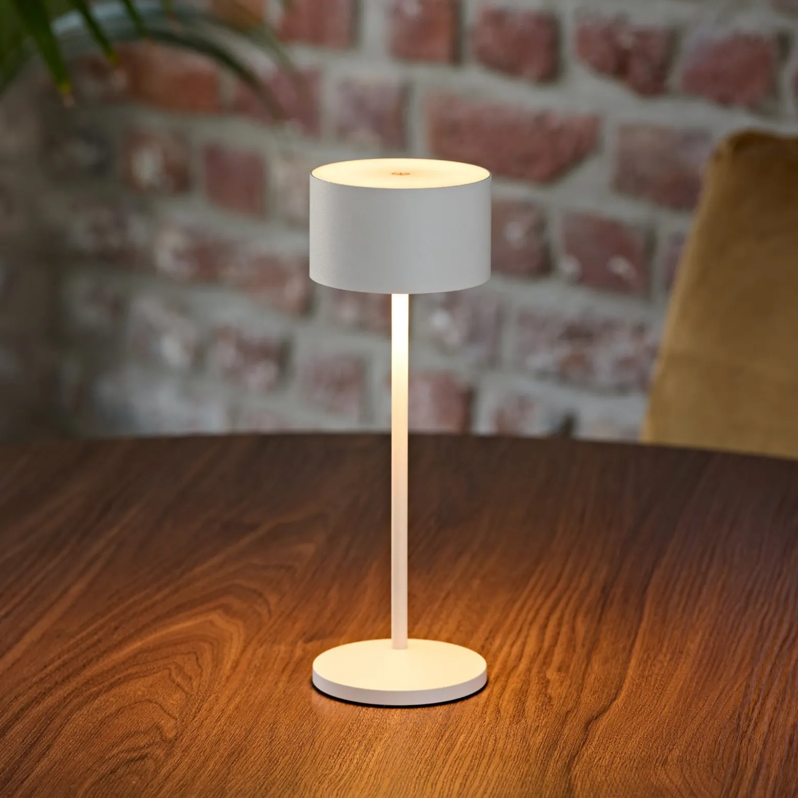LED-akku-pöytälamppu Veluna, valkoinen, korkeus 25 cm, IP44, himmennettävä, CCT