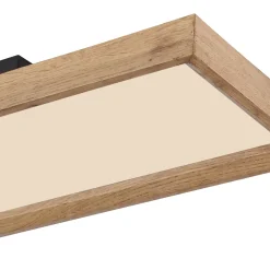 LED kattovalaisin Cinderella puu CCT 80 x 20 cm