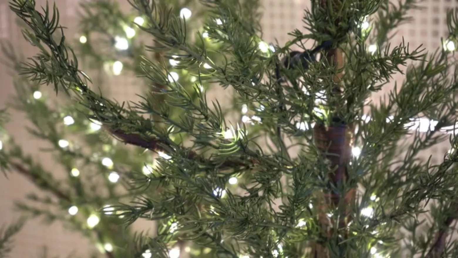 LED-puu Milas Cedar Tree ruukussa, ulkokäyttöön
