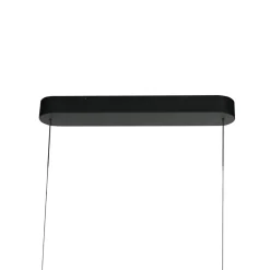 LED-riippuvalaisin Mykty, musta, pituus 120 cm, metalli, 2-lamppuinen.