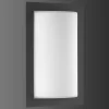 LED-ulkoseinälamppu Luis, grafiitinvärinen, lasi, ruostumaton teräs
