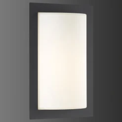 LED-ulkoseinälamppu Luis, grafiitinvärinen, lasi, ruostumaton teräs