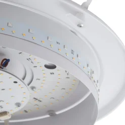 Lindby Felecina-LED-kattovalo, Ø 50,5 cm, RGBW