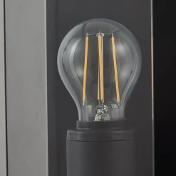 Lucande Annalea -ulkoseinävalaisin, savuharmaa, IP54, anturi