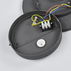 Lucande LED ulkokattovalaisin Malena, liiketunnistin, IP65