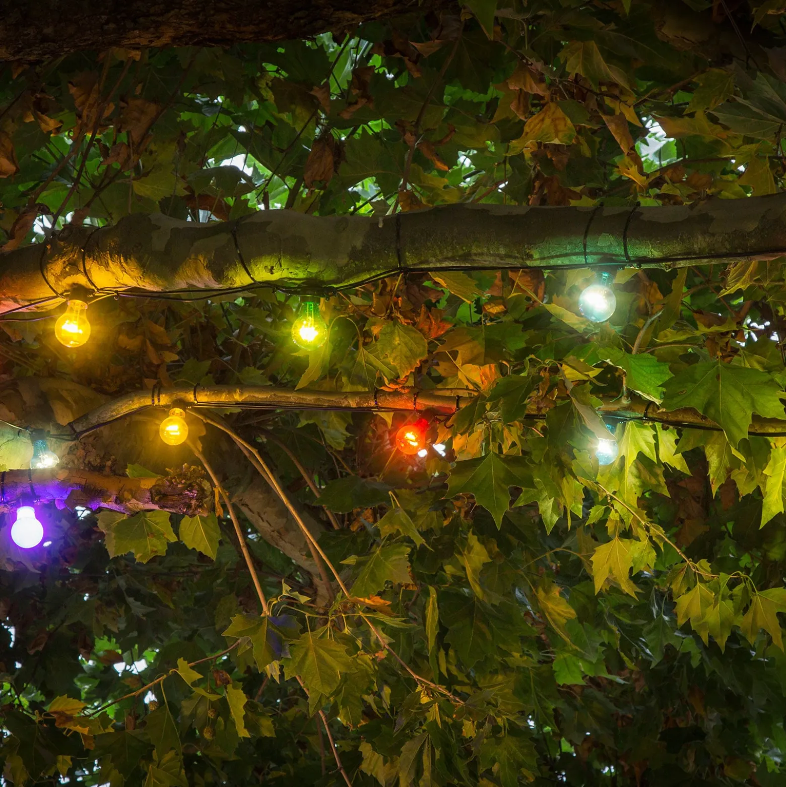 Olutpuutarhan keijuvalot 10 värikästä LED-lamppua