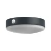 OSRAM LED-anturiseinälamppu ENDURA STYLE TOSSA Solar 16 cm 830