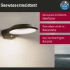 Paulmann Anela-LED-ulkoseinävalo tunnistin 3000 K