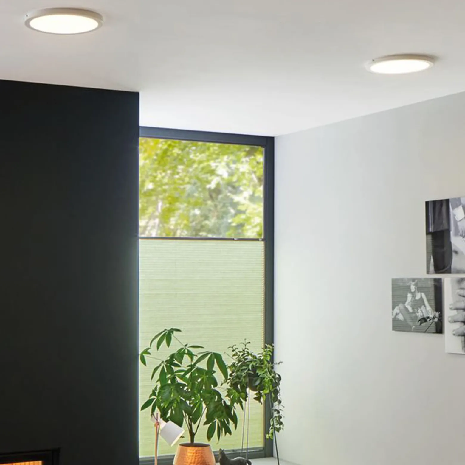 Paulmann Atria -LED-kattovalaisin Ø 30 cm