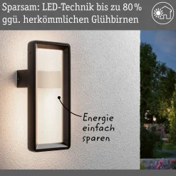 Paulmann LED-anturilla varustettu ulkoseinävalaisin Reana, antrasiitti IP44
