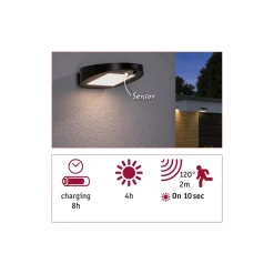 Paulmann LED-aurinkokäyttöinen ulkoseinälamppu Ryse, antrasiitti