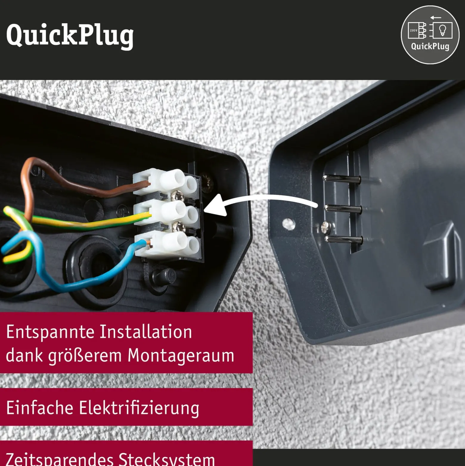 Paulmann LED-ulkoseinävalaisin Azalena zigbee, 2200K, valkoinen