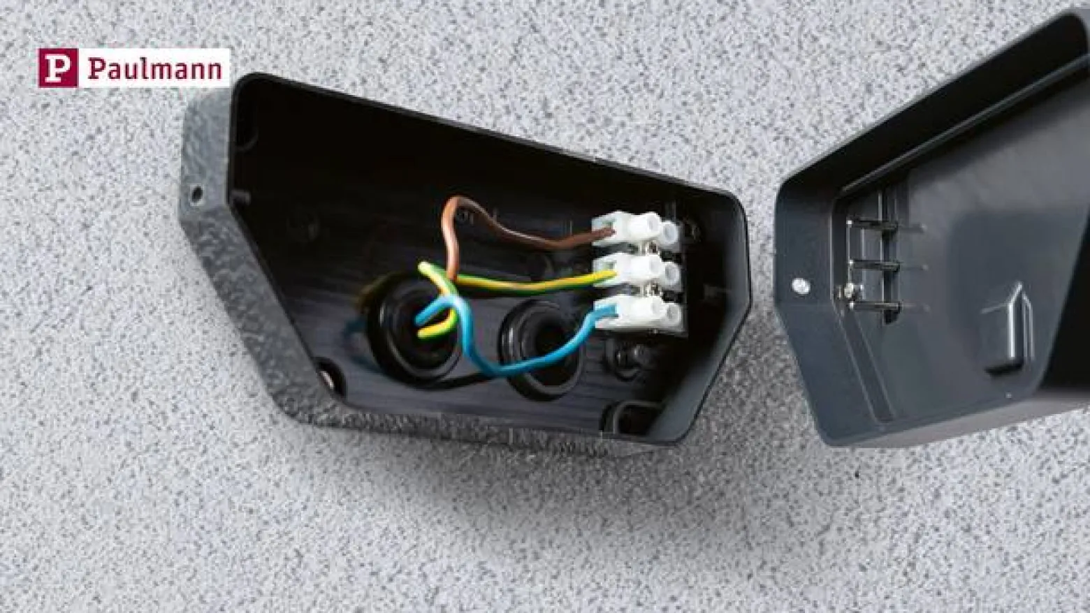 Paulmann LED-ulkoseinävalaisin Azalena zigbee, 2200K, valkoinen