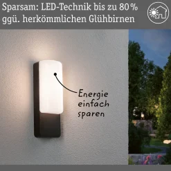 Paulmann LED-ulkoseinävalaisin Bonnie, alumiini, antrasiitti
