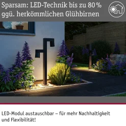Paulmann LED-valaisin Kimu 2, antrasiitti, 2-valo, 2 200 K
