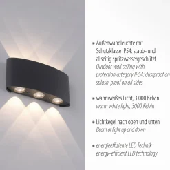 Paul Neuhaus LED-ulkoseinävalaisin Carlo, 17 cm, musta