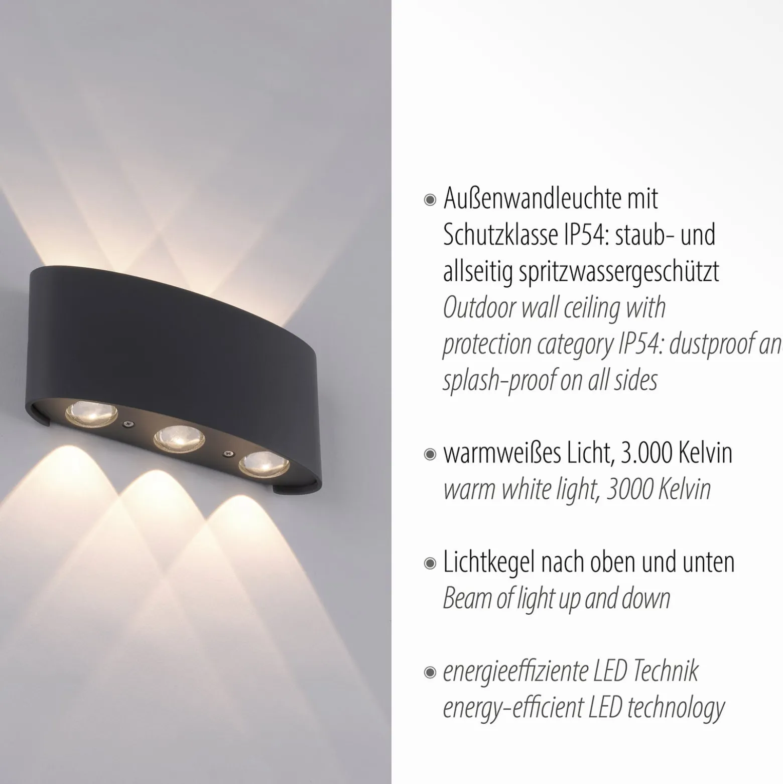 Paul Neuhaus LED-ulkoseinävalaisin Carlo, 17 cm, musta