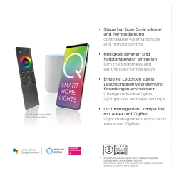 Paul Neuhaus Q-AMIRA LED-kattovalaisin, hopea