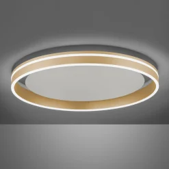 Paul Neuhaus Q-VITO LED-kattovalaisin, Ø 60cm