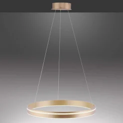 Paul Neuhaus Q-VITO -LED-riippuvalaisin, 1 rengas