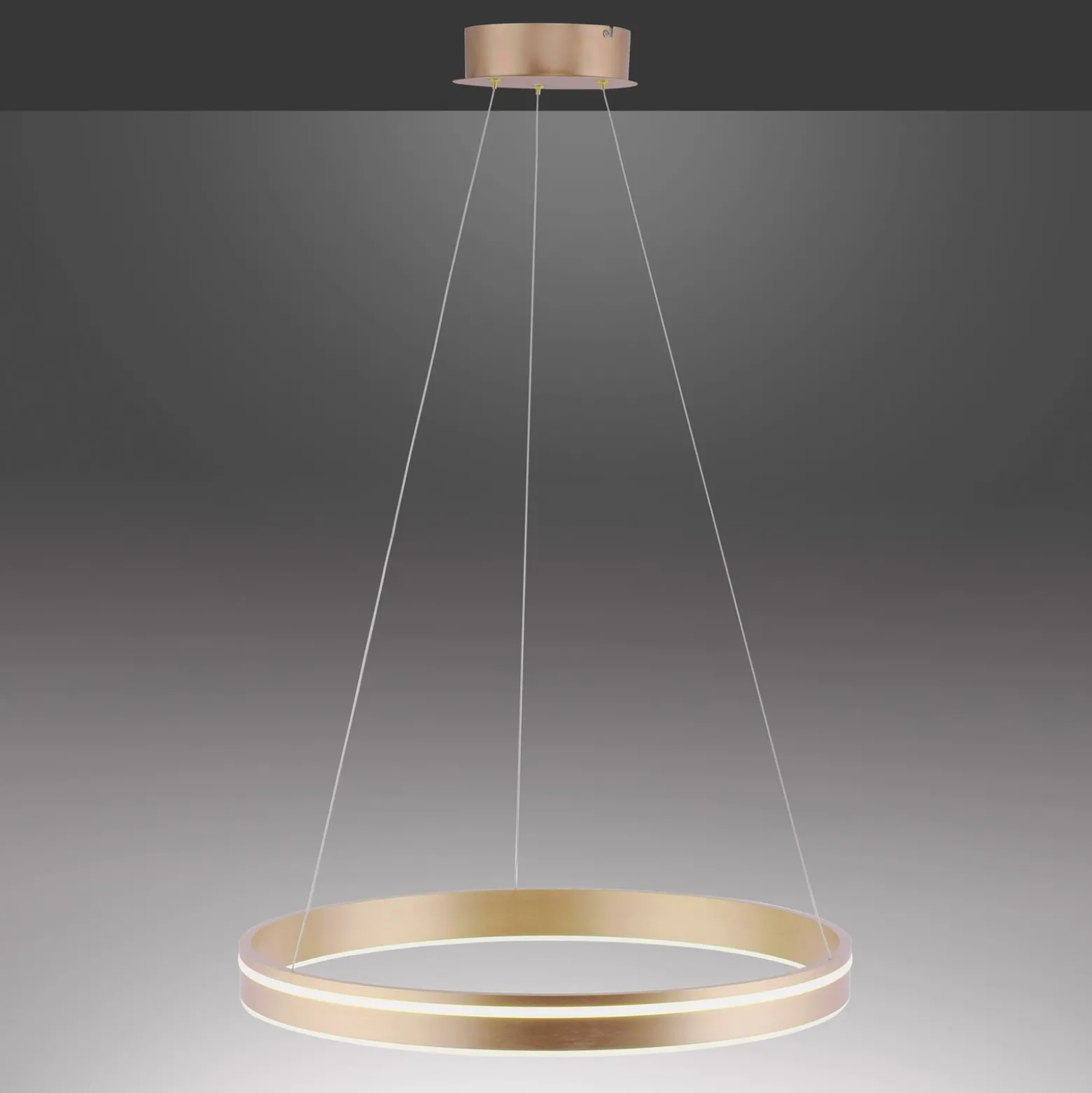 Paul Neuhaus Q-VITO -LED-riippuvalaisin, 1 rengas