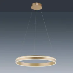 Paul Neuhaus Q-VITO -LED-riippuvalaisin, 1 rengas