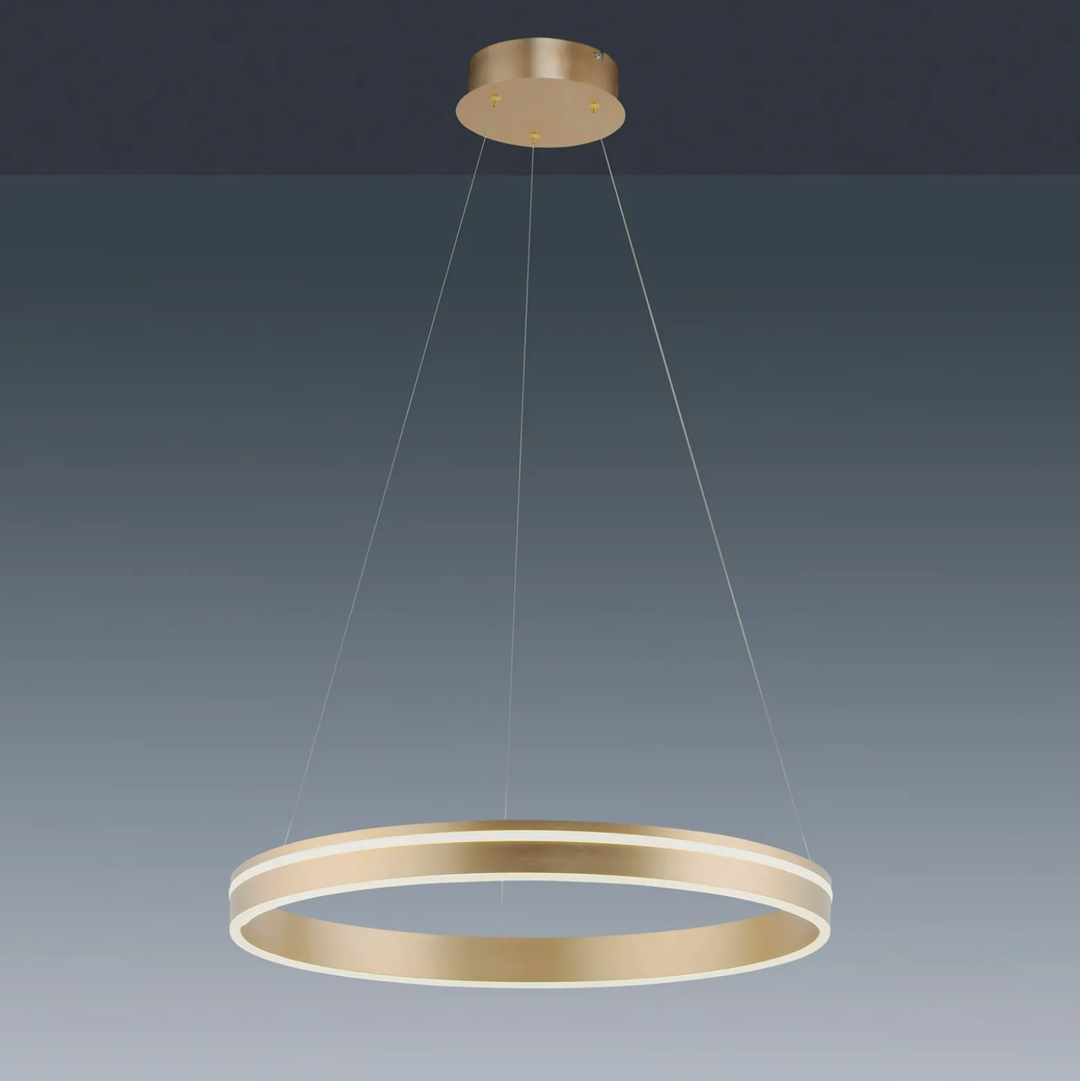 Paul Neuhaus Q-VITO -LED-riippuvalaisin, 1 rengas