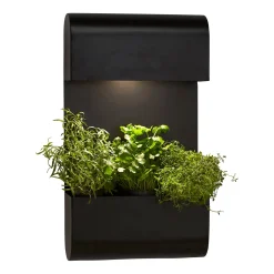 PR Home Planta -ulkoseinävalaisin kukka-astialla