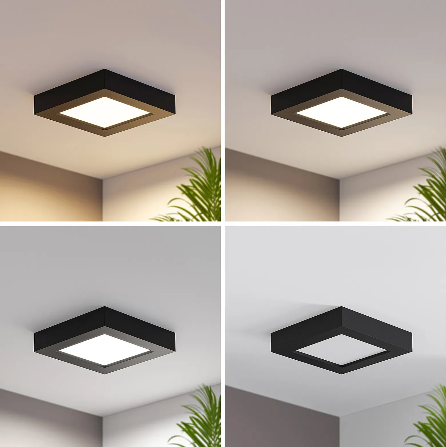 Prios LED-kattovalaisin Alette, musta, 12 W, CCT, himmennettävä