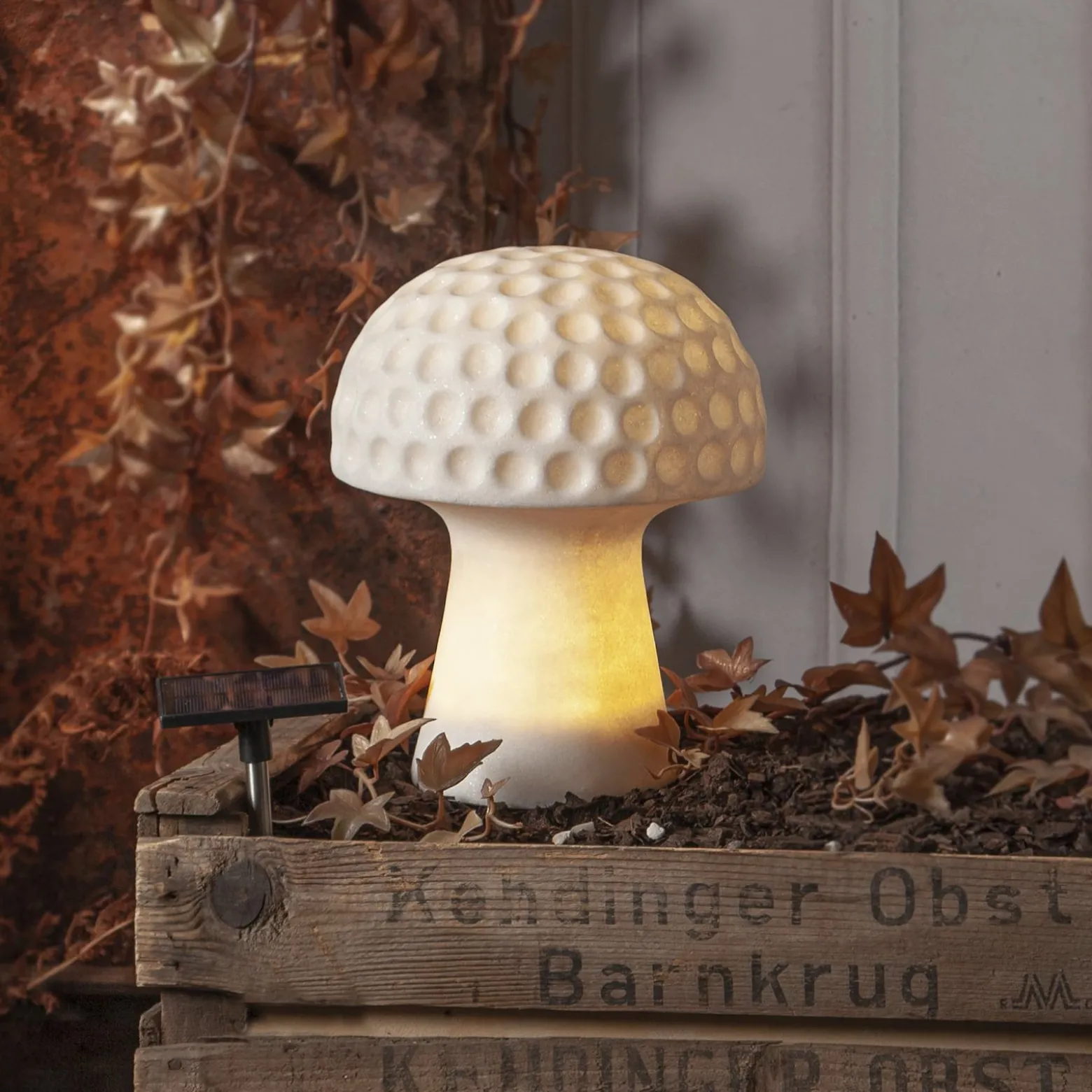 Sandy LED-aurinkovalaisin, 24 cm, valkoinen, muovi, sienen muotoinen