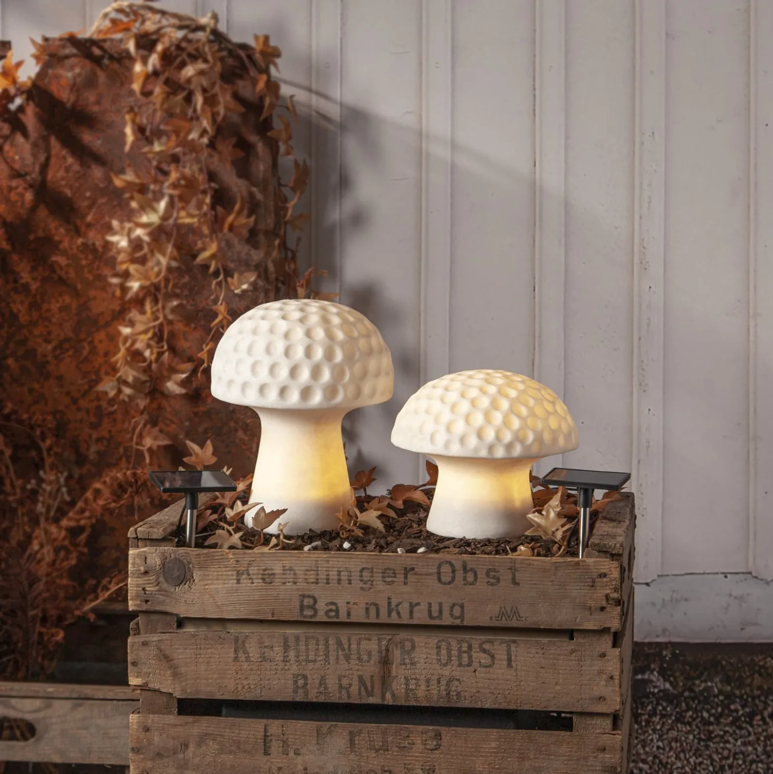 Sandy LED-aurinkovalaisin, 24 cm, valkoinen, muovi, sienen muotoinen