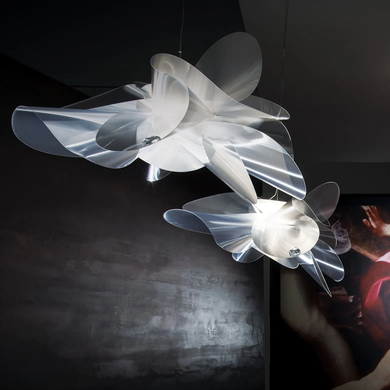 Slamp Étoile Small - designer-riippuvalo 73 cm