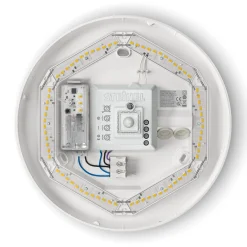 STEINEL RS Pro P2 S -hätävalo tunnistin LED 4000 K
